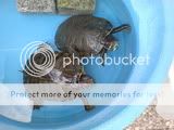DSC00054.jpg