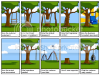 Software Design Review