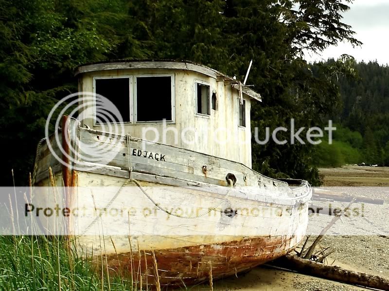 IMAGE: http://i738.photobucket.com/albums/xx29/OtherMikephotos/800X600/IMG_4653c-Copy.jpg