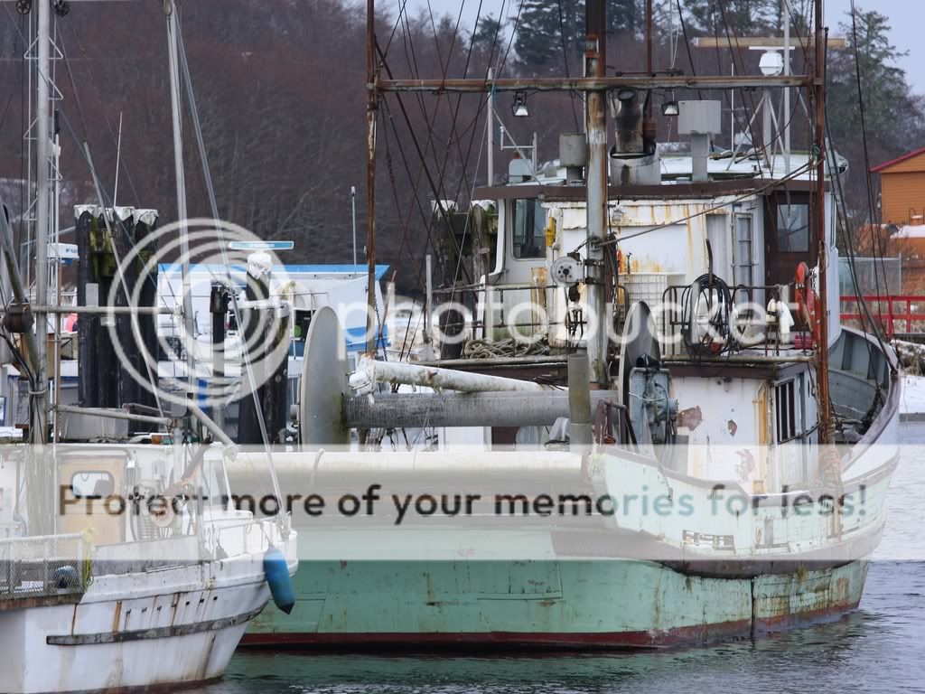 IMAGE: http://i738.photobucket.com/albums/xx29/OtherMikephotos/Elling%20K%201024/IMG_0249.jpg