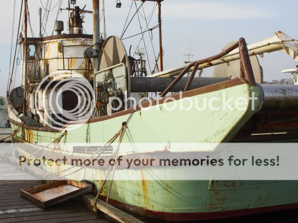 IMAGE: http://i738.photobucket.com/albums/xx29/OtherMikephotos/Elling%20K%201024/IMG_0265.jpg