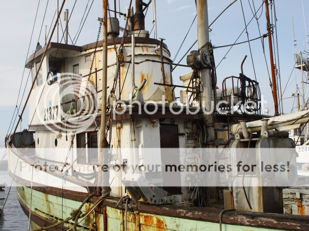 IMAGE: http://i738.photobucket.com/albums/xx29/OtherMikephotos/Elling%20K%201024/IMG_0276.jpg