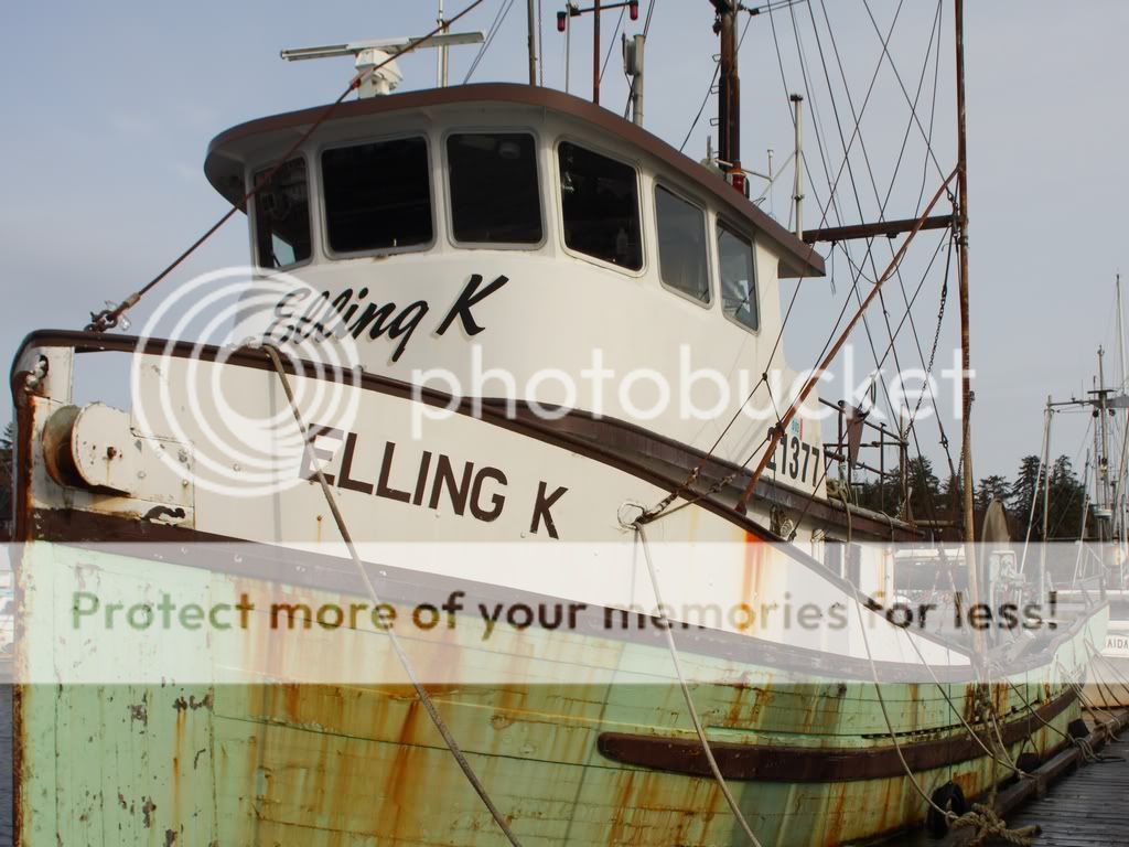 IMAGE: http://i738.photobucket.com/albums/xx29/OtherMikephotos/Elling%20K%201024/IMG_0286.jpg