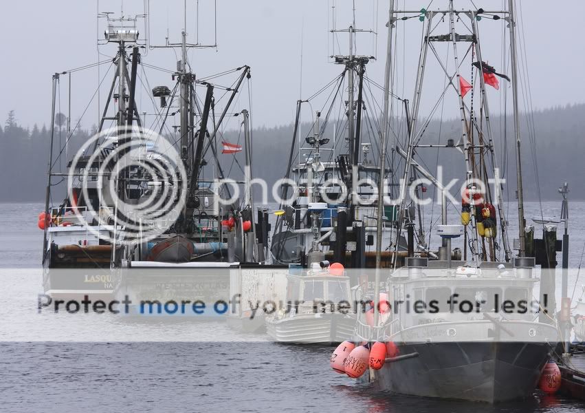 IMAGE: http://i738.photobucket.com/albums/xx29/OtherMikephotos/IMG_0004.jpg