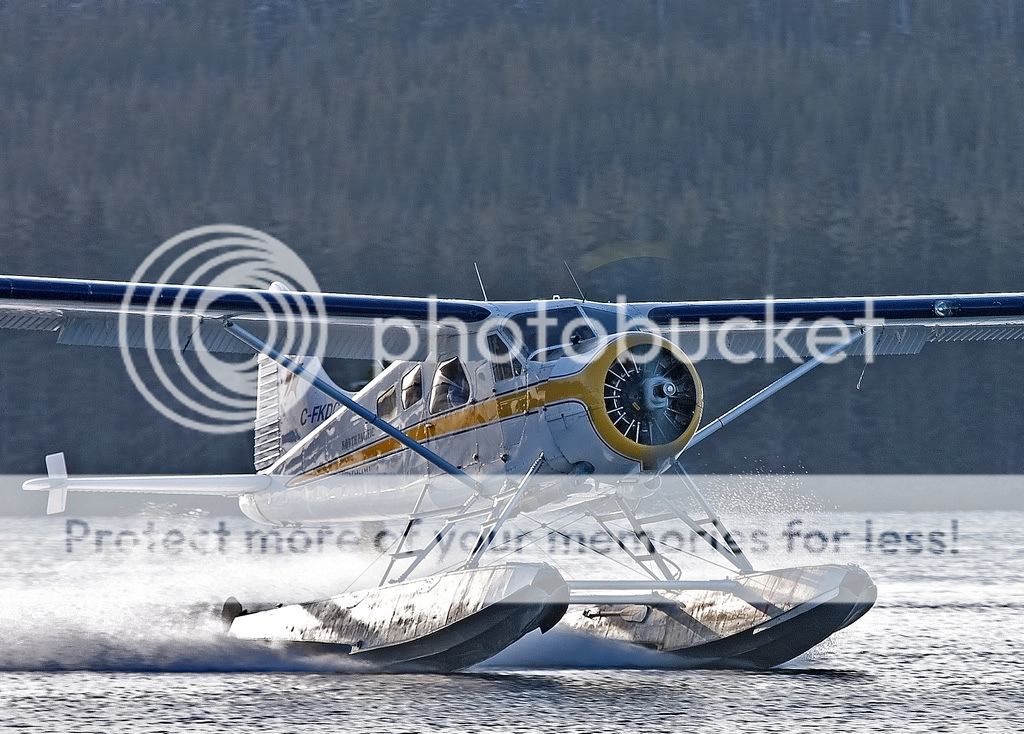 IMAGE: http://i738.photobucket.com/albums/xx29/OtherMikephotos/IMG_4613-1c.jpg