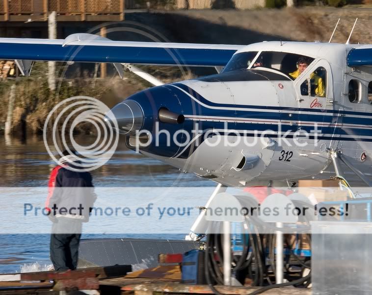 IMAGE: http://i738.photobucket.com/albums/xx29/OtherMikephotos/IMG_4656.jpg