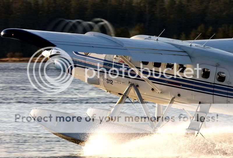 IMAGE: http://i738.photobucket.com/albums/xx29/OtherMikephotos/IMG_4730so.jpg