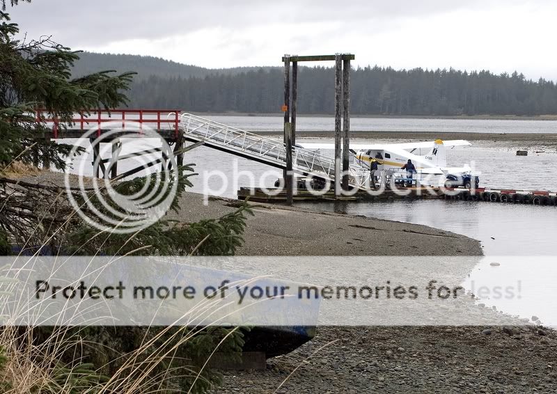 IMAGE: http://i738.photobucket.com/albums/xx29/OtherMikephotos/IMG_5267s.jpg