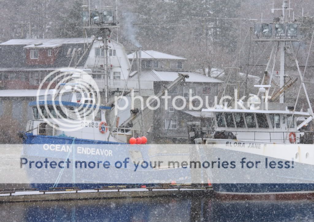 IMAGE: http://i738.photobucket.com/albums/xx29/OtherMikephotos/more%201024/IMG_0213.jpg