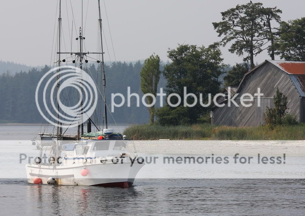 IMAGE: http://i738.photobucket.com/albums/xx29/OtherMikephotos/more%201024/IMG_0400j.jpg