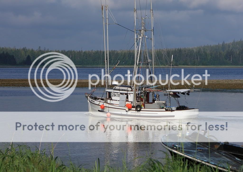 IMAGE: http://i738.photobucket.com/albums/xx29/OtherMikephotos/more%201024/_MG_8392j.jpg