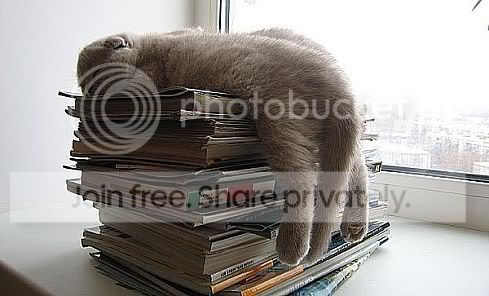 external image 1p.jpg