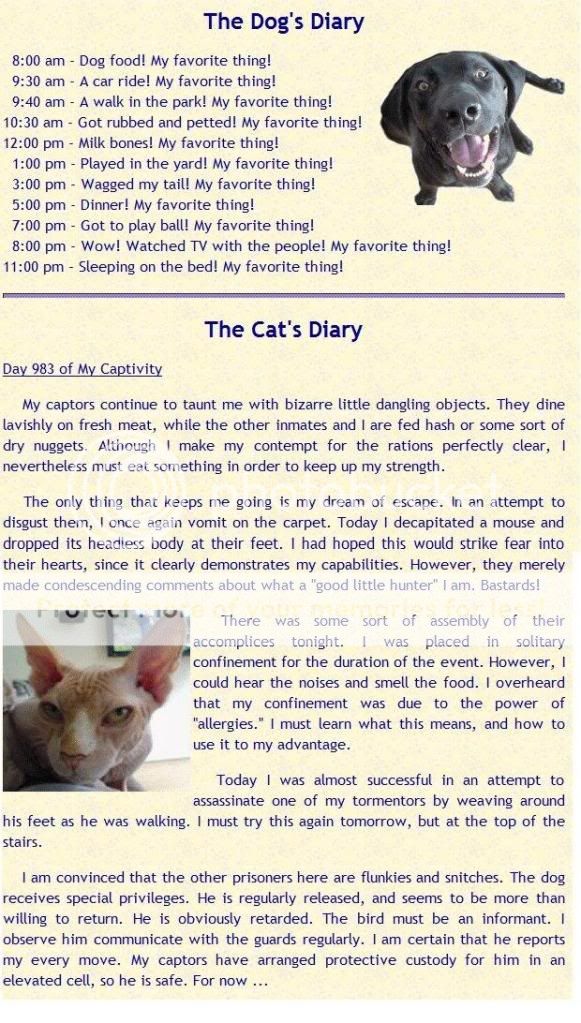 dog's diary vs that of cat Pictures, Images and Photos