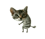 Gketpnfb